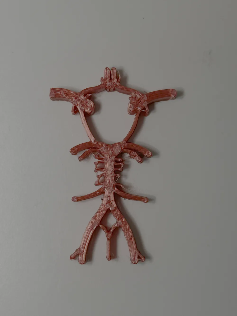 circle of willis by Nimanator MakerWorld: Download Free 3D Models