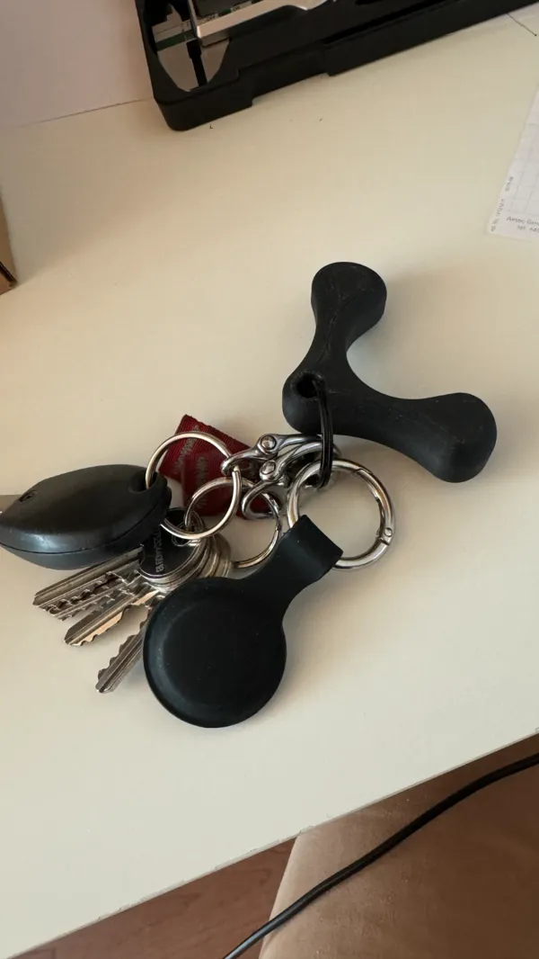 https://makerworld.bblmw.com/makerworld/model/USe122f6b0178276/design/2024-01-17_9bca693143887.jpg