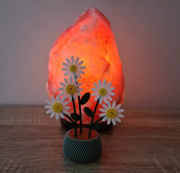 https://makerworld.bblmw.com/makerworld/model/USe123a429268c56/design/2025-01-03_23e8b731c71fc.jpg
