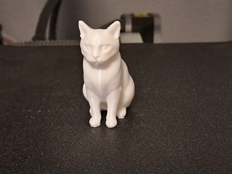 Katze