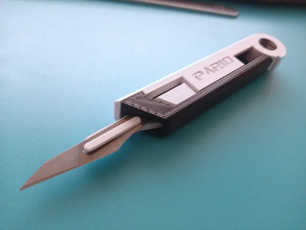 https://makerworld.bblmw.com/makerworld/model/USe12bc4ce6cef22/design/2024-10-31_109e0db41bb9d.jpg