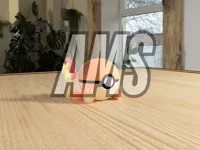 AMS Profile - No Feet 