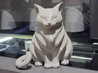 0.2mm layer, 2 walls, 20% infill
