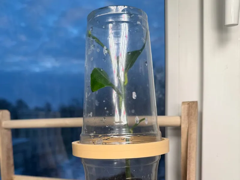 Mini greenhouse 400 ml