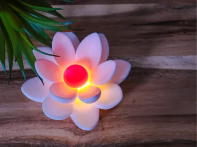 Water lily for round balloon light