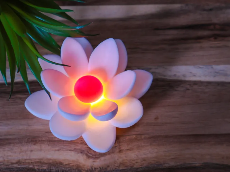 Seerose für rundes Ballonlicht