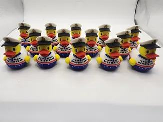 Cruise Ship Duck