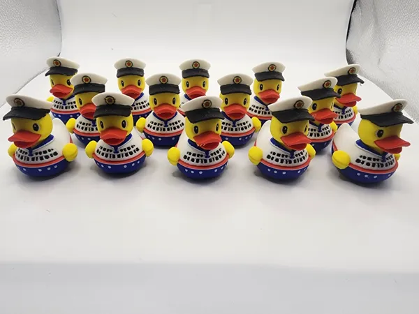 https://makerworld.bblmw.com/makerworld/model/USe13899af07137e/design/2025-12-17_12234658d5fab.jpg