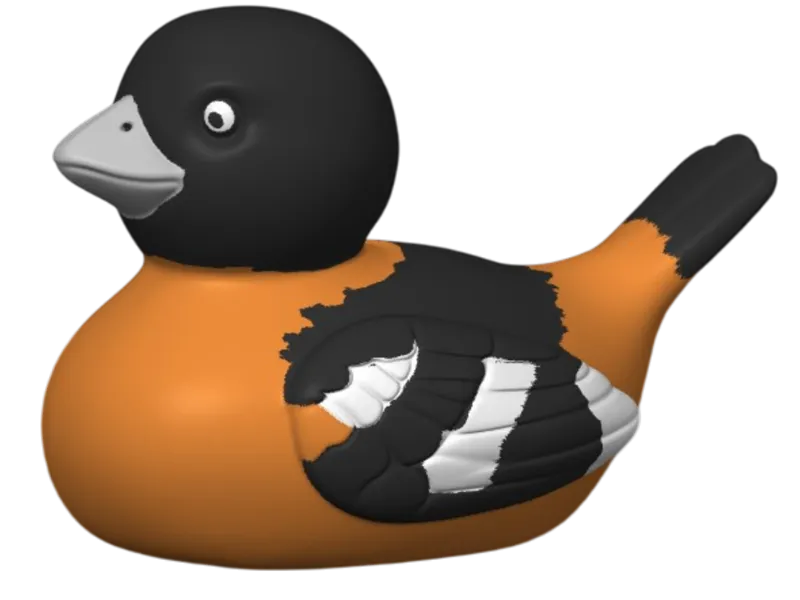 Black Headed Grosbeak Duck