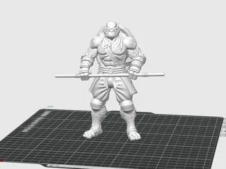 Donatello: Tartaruga Ninja