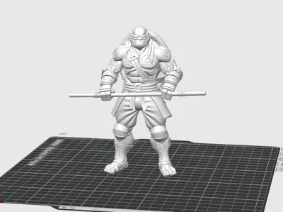 Donatello: Teenage Mutant Ninja Turtle