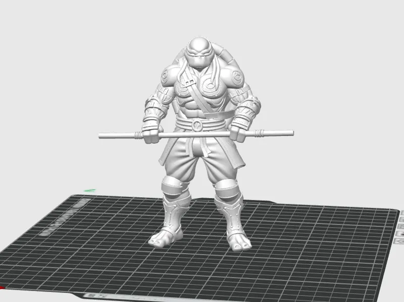Donatello: Tartaruga Ninja