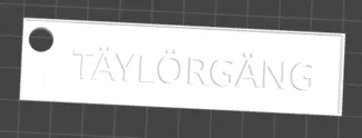 TaylorGang Euro Plate Keychain
