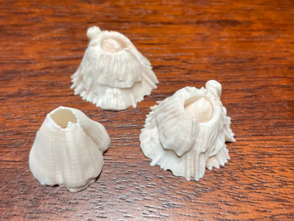 https://makerworld.bblmw.com/makerworld/model/USe13eab00fefe0d/design/44b36b1bc8aea349.jpg