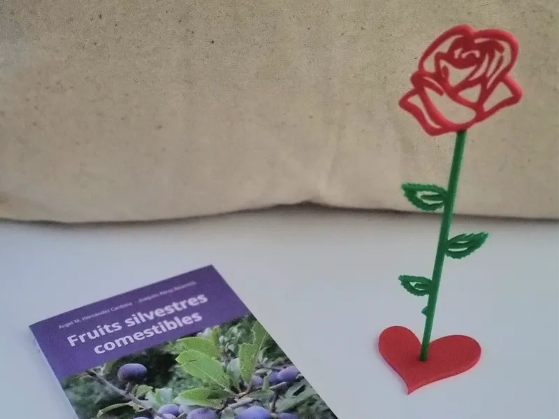 Rosa Sant Jordi