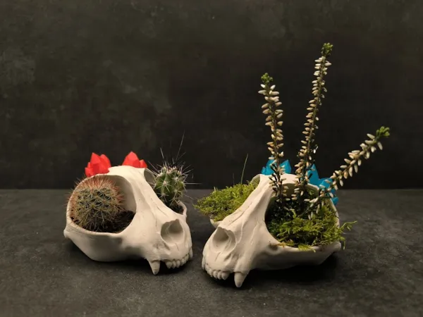https://makerworld.bblmw.com/makerworld/model/USe14605dc138ad8/design/2025-10-18_d887b793306208.jpg