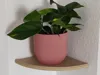 0.2mm layer, 2 walls, 10% infill