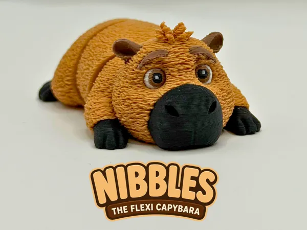 https://makerworld.bblmw.com/makerworld/model/USe14780f81f1c94/design/bc50cbefd392dcd3.png