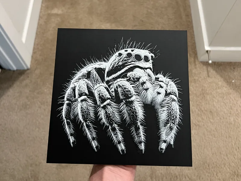 Jumping Spider Art Hueforge