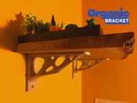 Standard Bracket (as in picture)