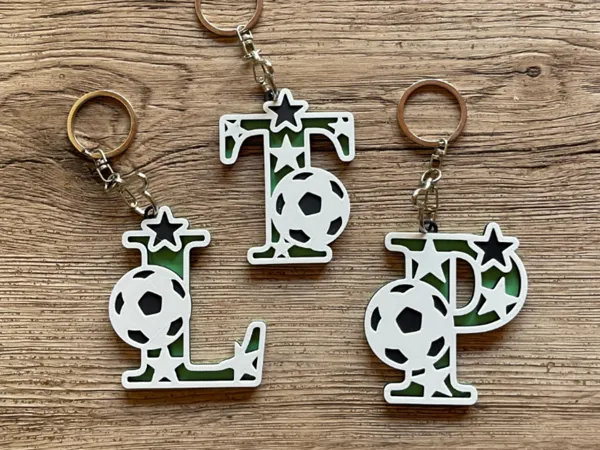 https://makerworld.bblmw.com/makerworld/model/USe1518d9e1cb30d/design/35f451279bd7b073.jpeg
