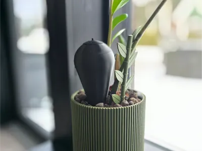 Self Watering Plant Globe with lid