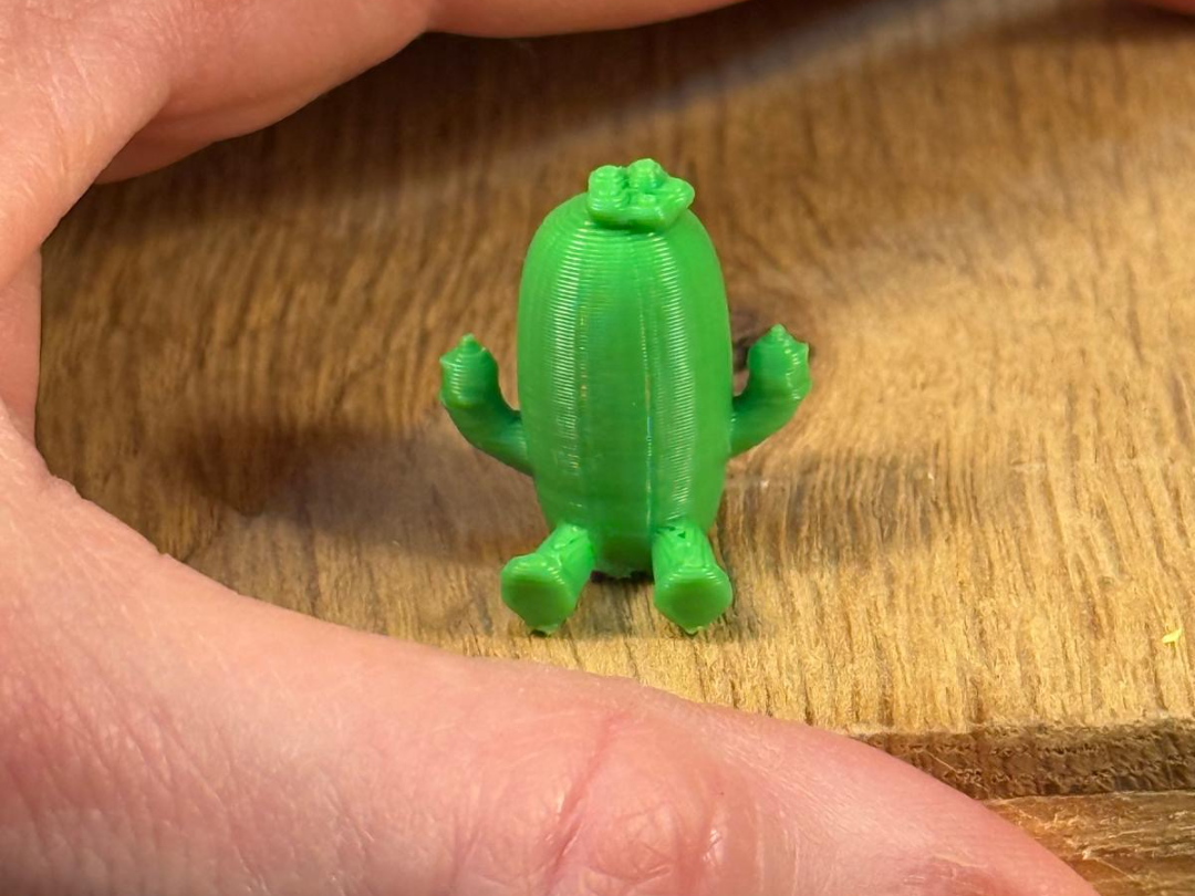 Cute Mini Cactus