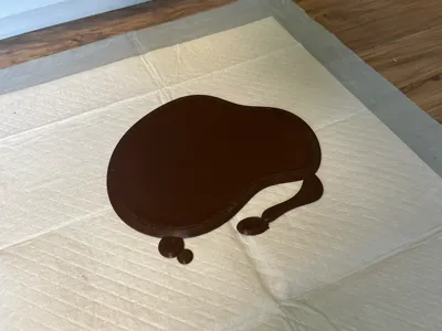 Sloppy Doggie Poo