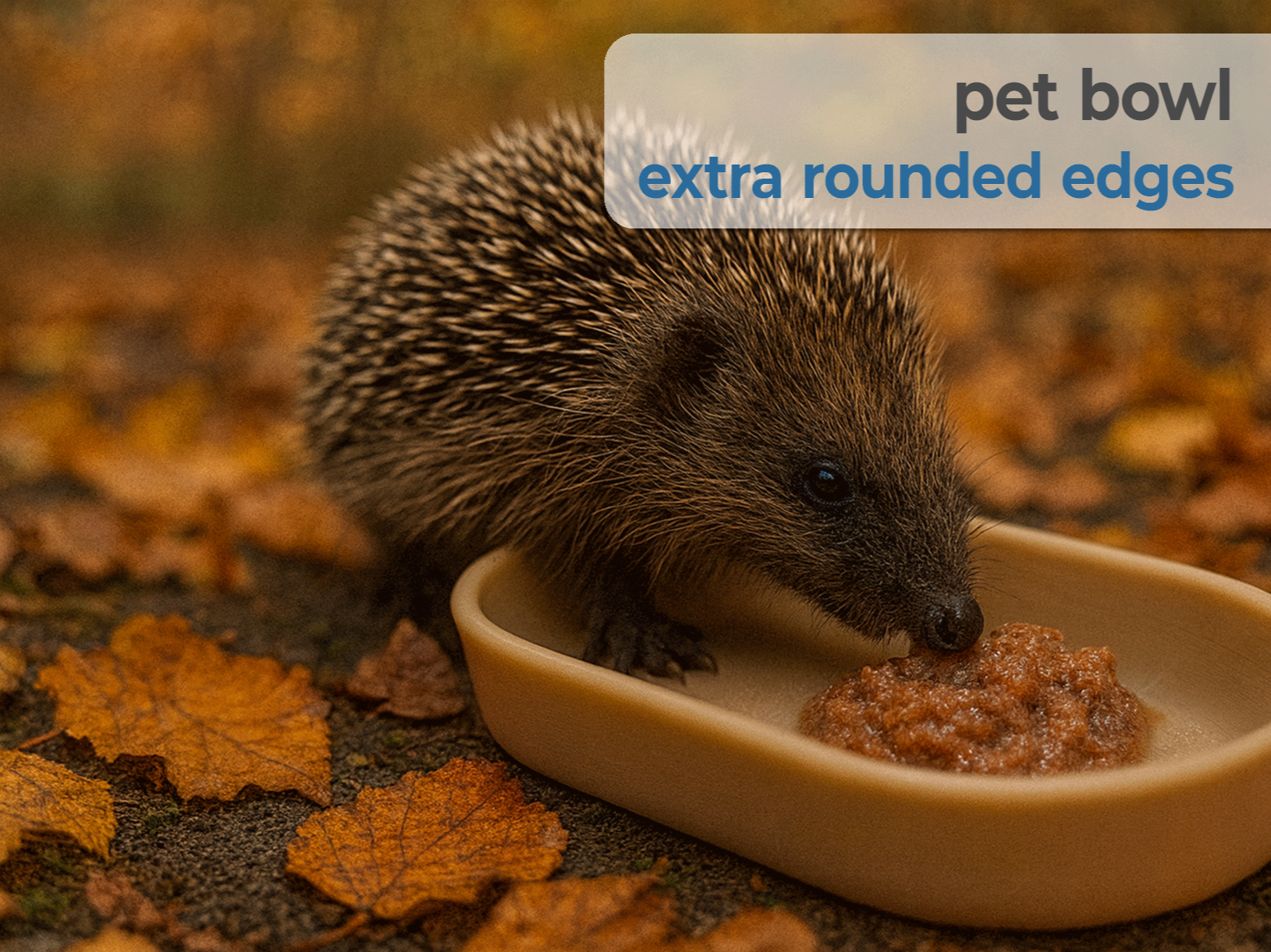 Futterschale speziell für Igel