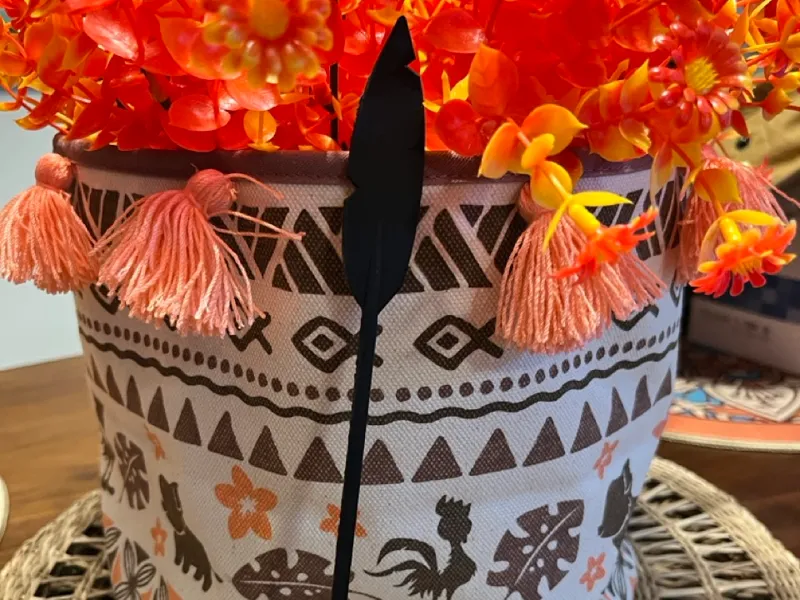 Moana Paddle