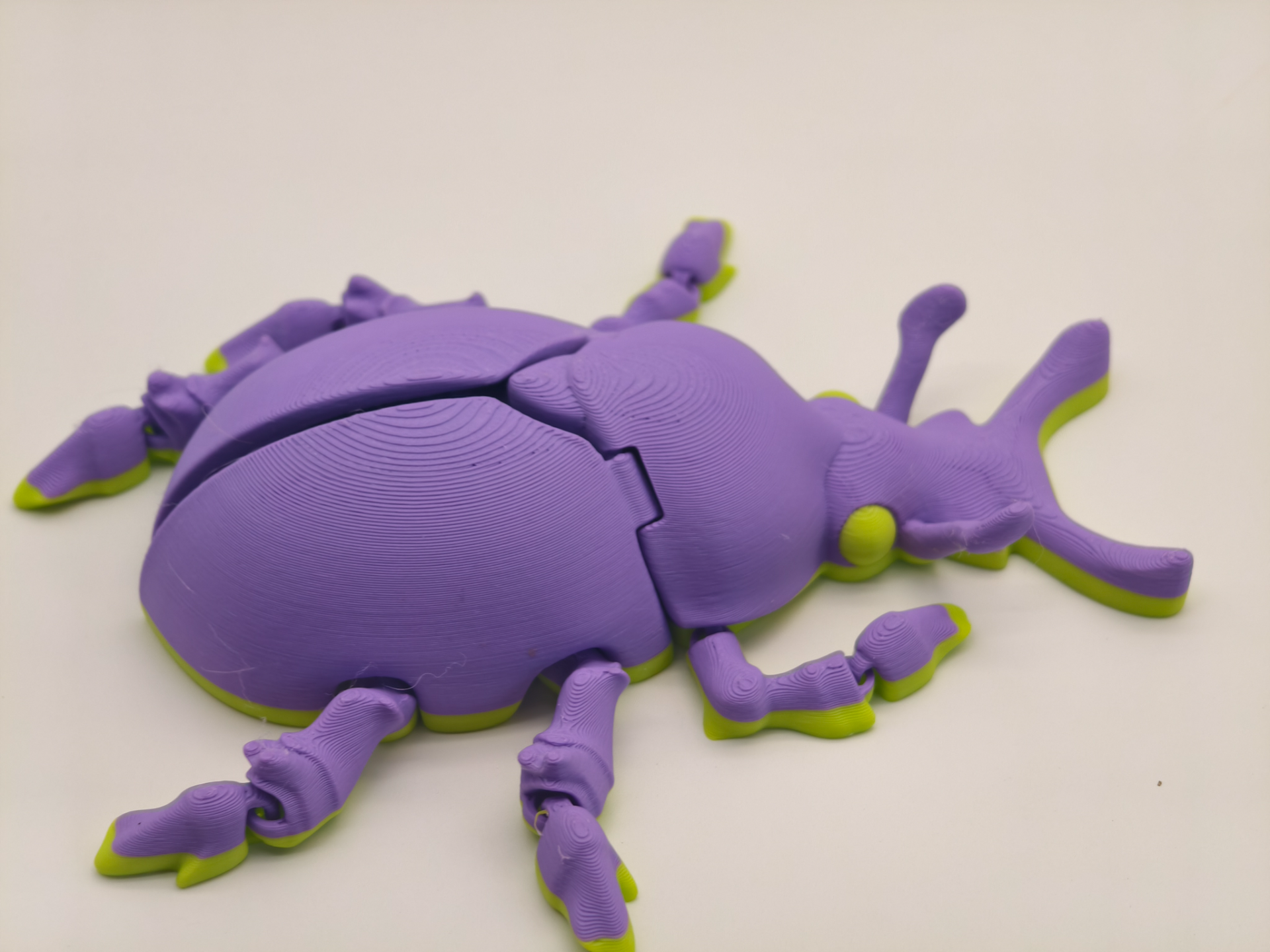 Miniatura 1 do modelo 3D 甲虫，独角仙，大王花金龟，无需支撑