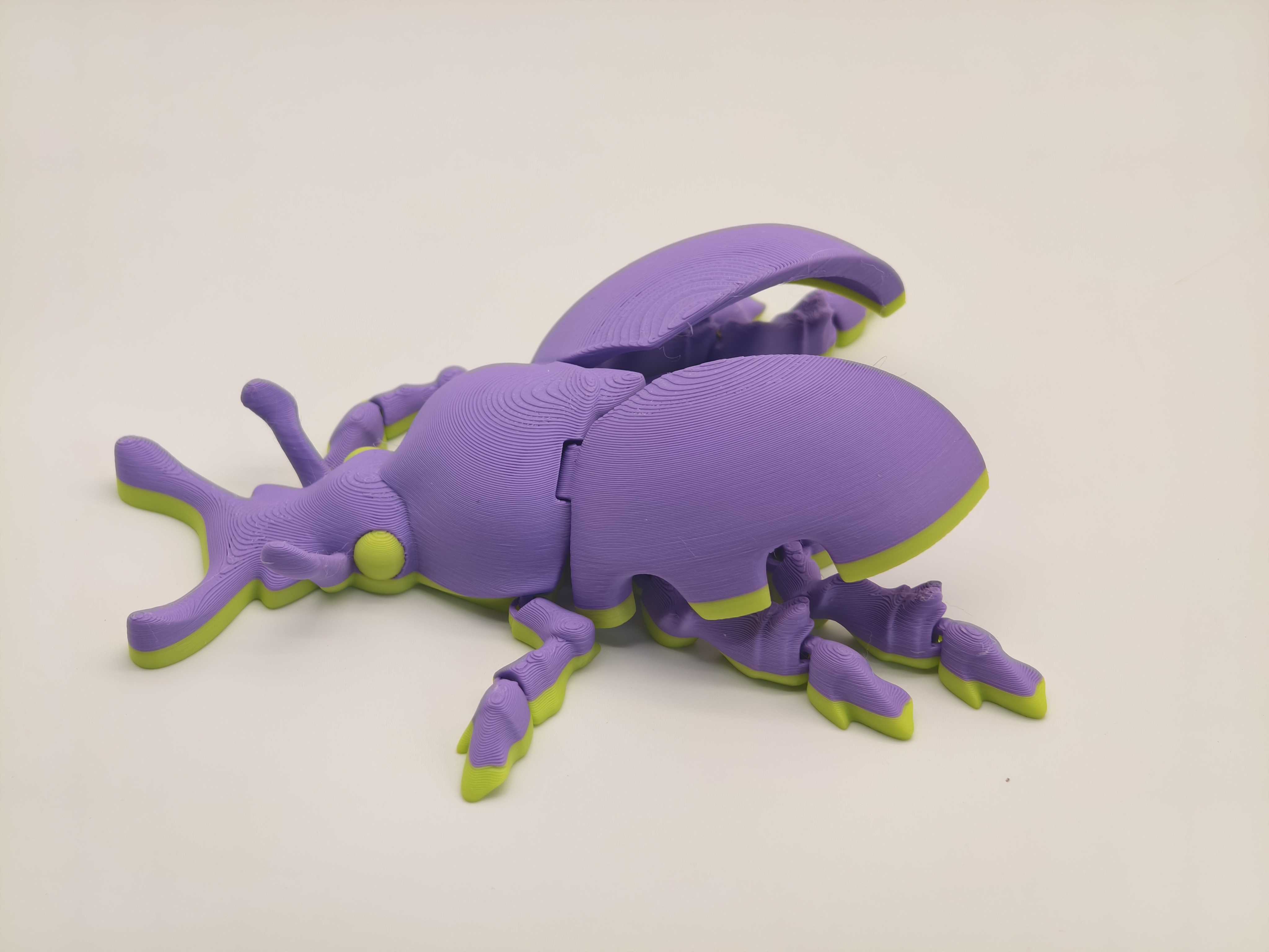 Miniatura 2 do modelo 3D 甲虫，独角仙，大王花金龟，无需支撑