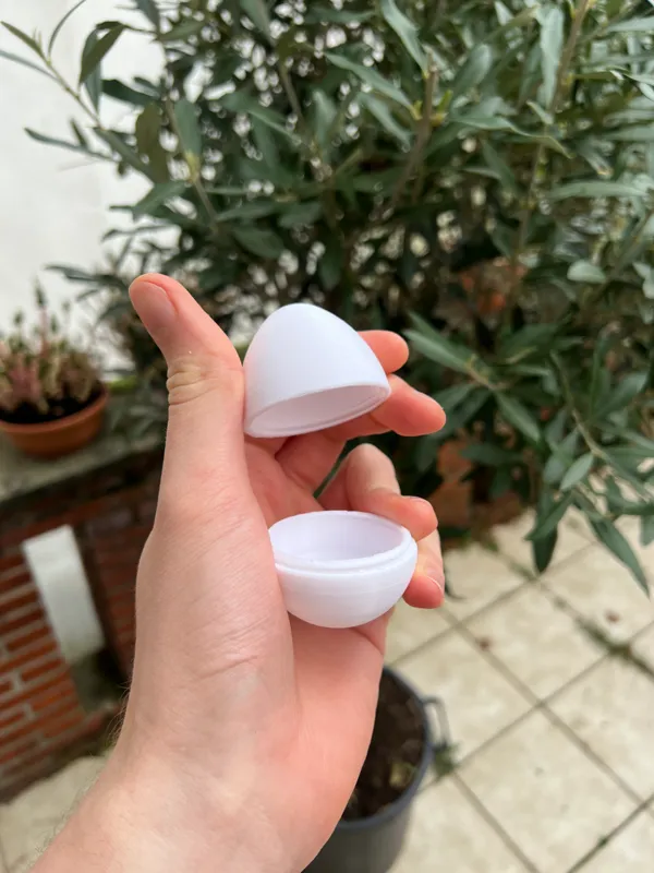 https://makerworld.bblmw.com/makerworld/model/USe16f61abdf3c7c/design/2024-03-17_2a878696a1baa.jpg