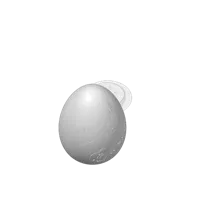 Œuf de Pâques gravé — photo 5