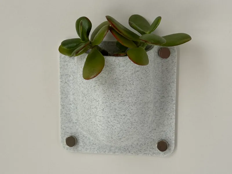 Wall Organizer – Planter & Storage in One!