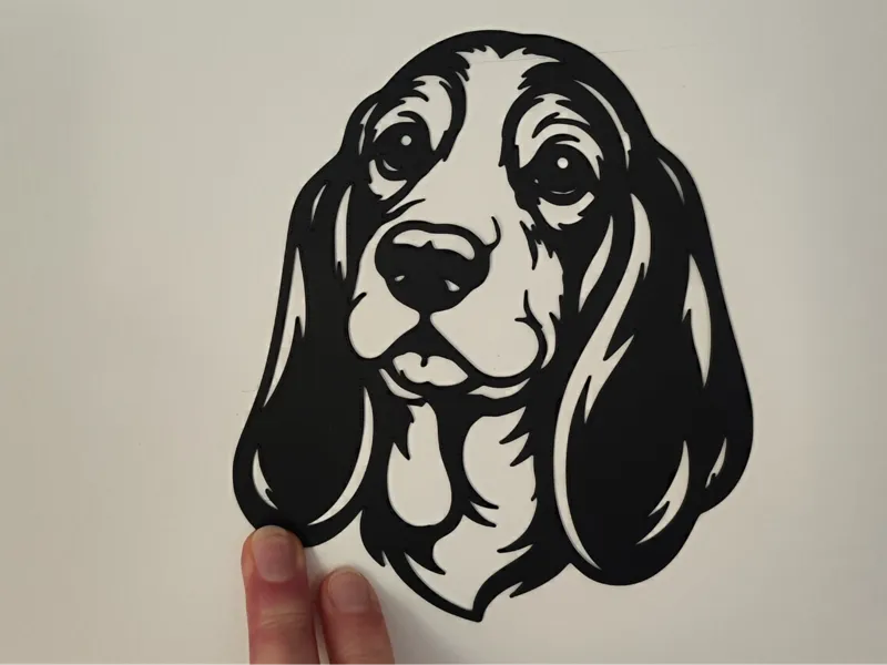 Basset dog