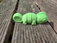 one color chameleon