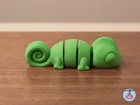 one color chameleon