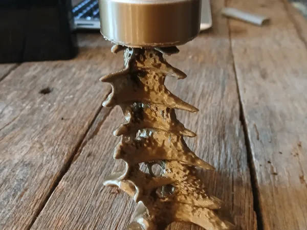 https://makerworld.bblmw.com/makerworld/model/USe181c69b5c73e/design/2025-07-08_d885e56133f288.jpg