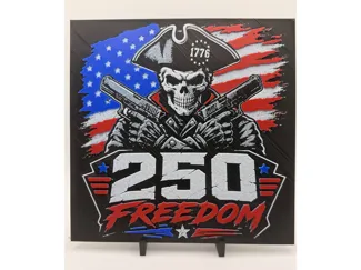 Freedom 250 Skull HueForge Print