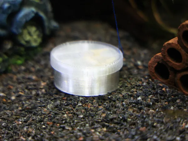 https://makerworld.bblmw.com/makerworld/model/USe18717620918ef/design/2025-09-23_3fd0930d05588.jpg