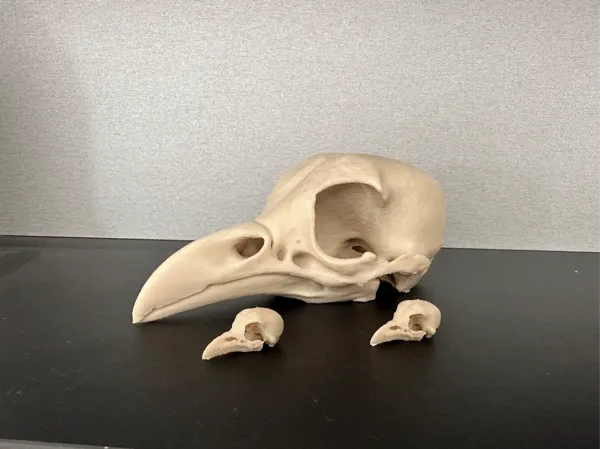 https://makerworld.bblmw.com/makerworld/model/USe18cb3df7cdcb0/design/2025-09-27_6a307fb2fbed88.jpg