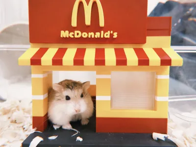 McDonald's Hamster House