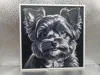 Yorkiepoo_170x170_X1C