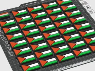 Palestine Keyrings with AMS