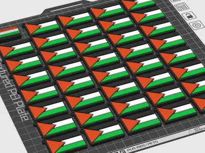 Palestine Keyrings with AMS