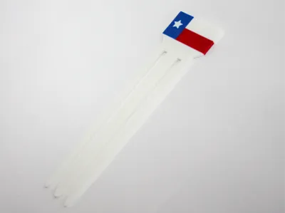 Texas Bookmark 
