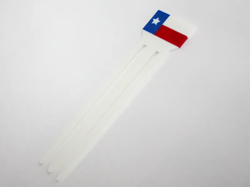 Texas Bookmark 