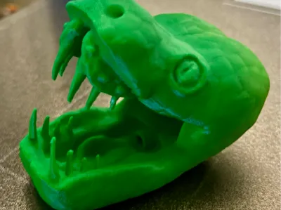 Emerald Tree Boa head
