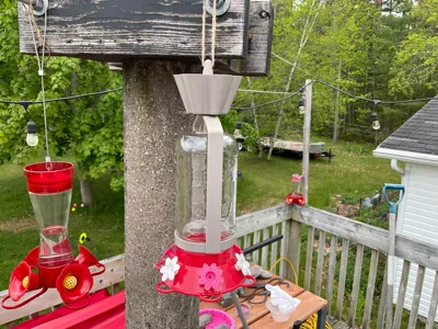 Mason Jar Hummingbird Feeder